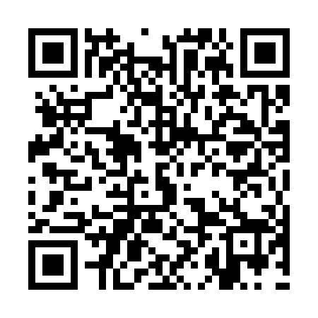 QR code for CHM308