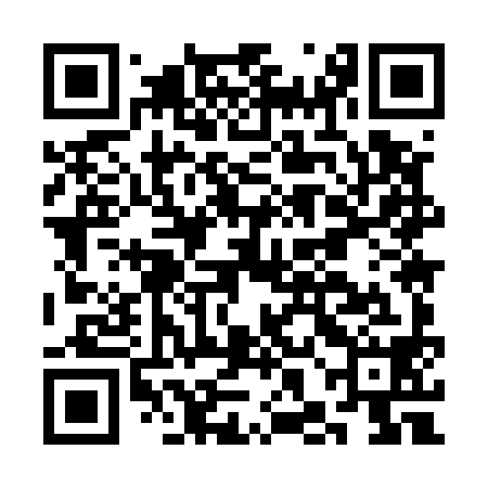 QR code for CHM598