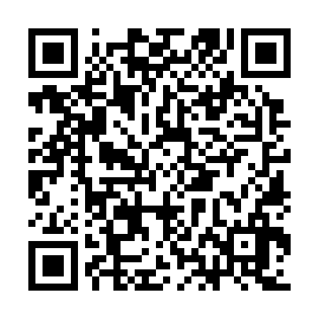 QR code for CHO336