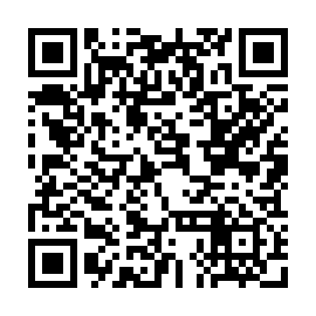 QR code for CHO339