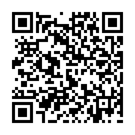 QR code for CHO394