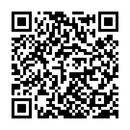 QR code for CHO438