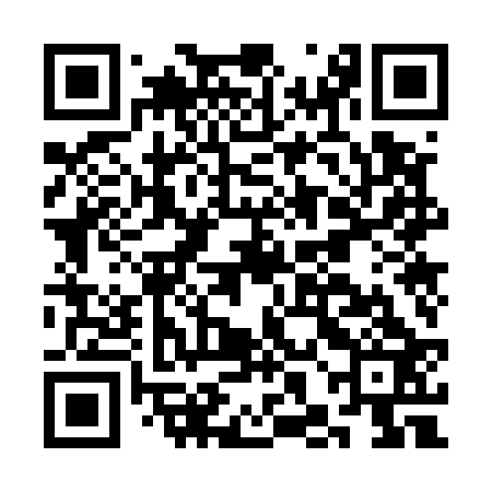 QR code for CHO523