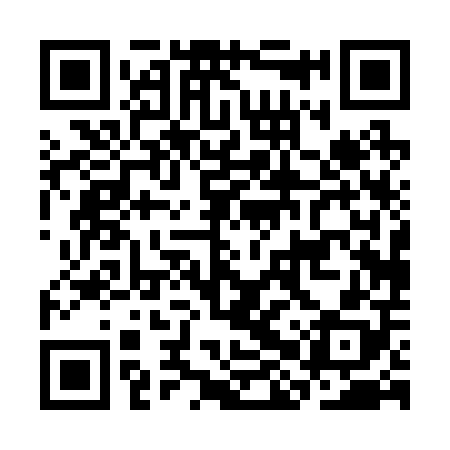 QR code for CHP208