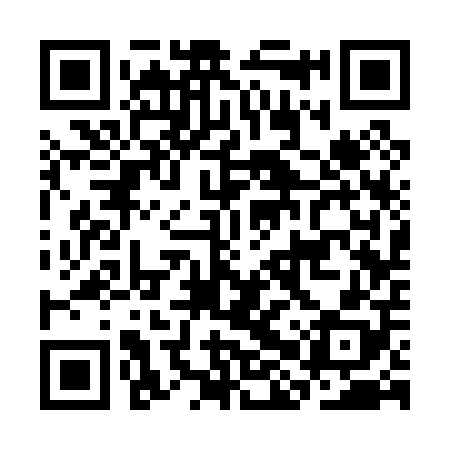 QR code for CHS008