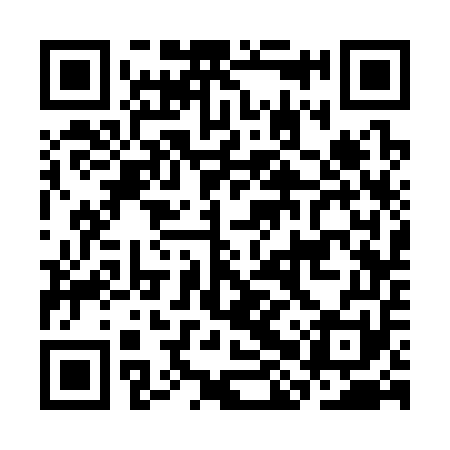 QR code for CHS351