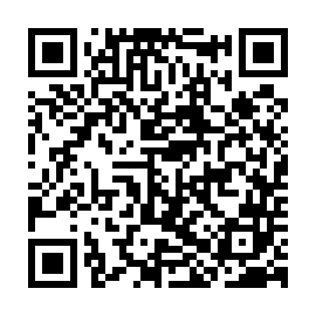 QR code for CHS542