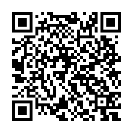 QR code for CHS733