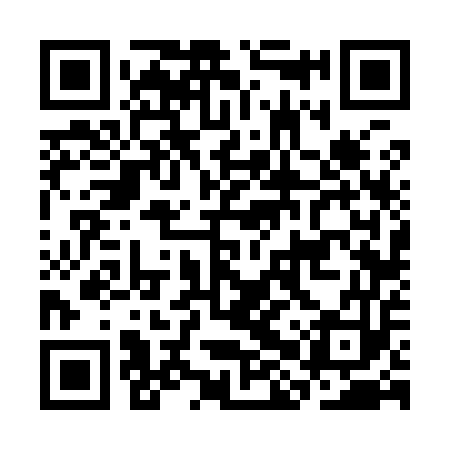 QR code for CHV953