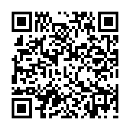 QR code for CHX389