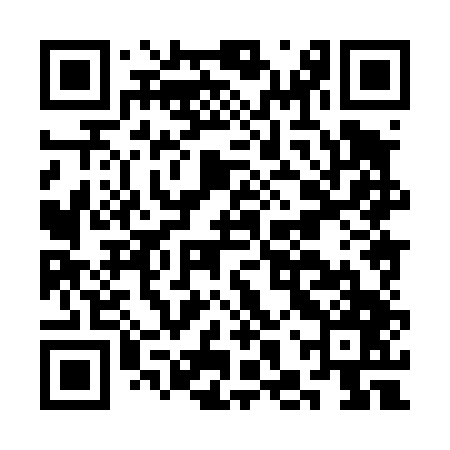 QR code for CHX447