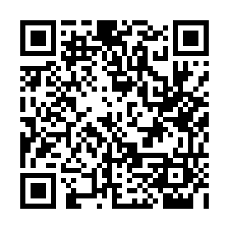 QR code for CHX863