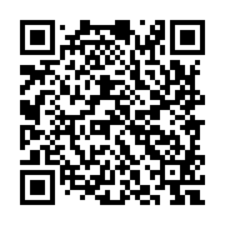 QR code for CHX981