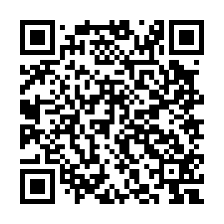 QR code for CHZ013