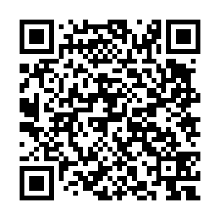 QR code for CHZ439