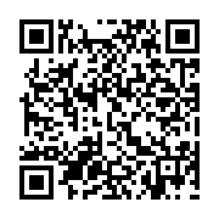 QR code for CHZ916
