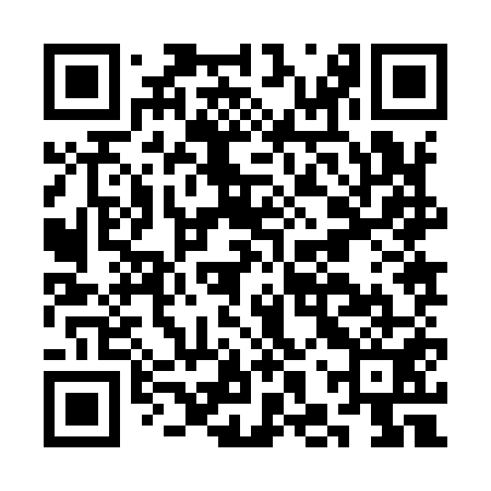 QR code for CHZ951