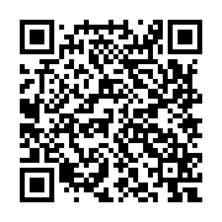 QR code for CHZ965