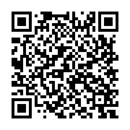 QR code for CHZ966