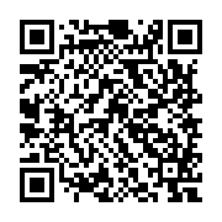 QR code for CHZ985