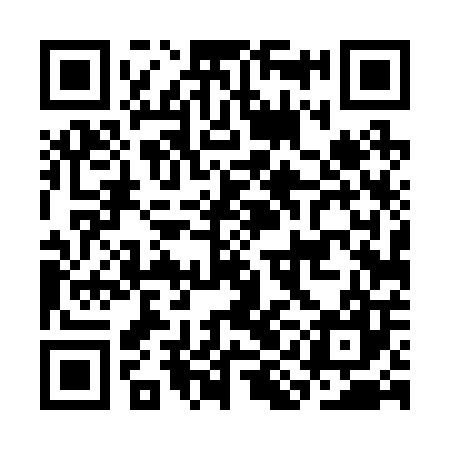 QR code for CID207