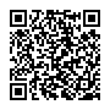 QR code for CIG613