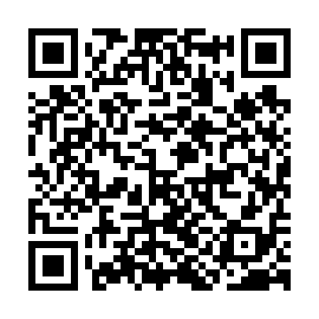 QR code for CII618