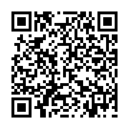 QR code for CIM381