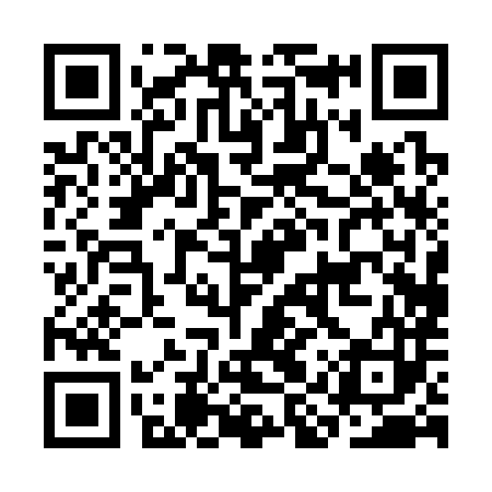 QR code for CIP383