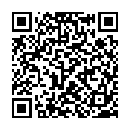 QR code for CIS333