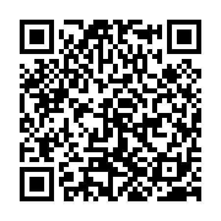 QR code for CJI011