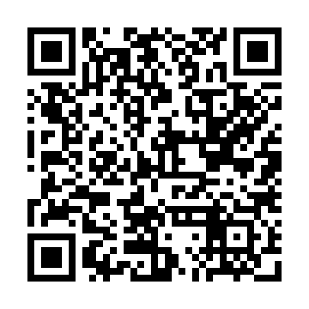 QR code for CLG383