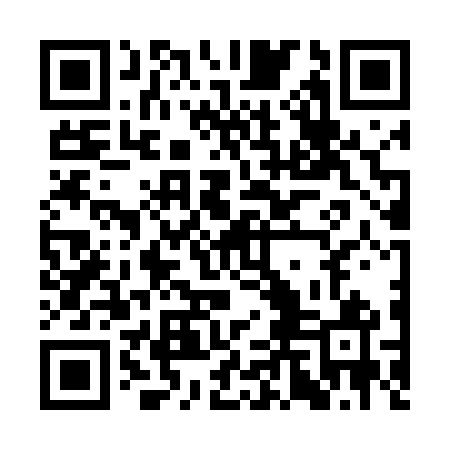 QR code for CLG461
