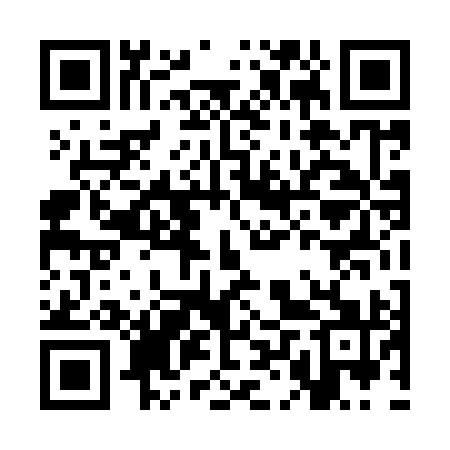 QR code for CLT991