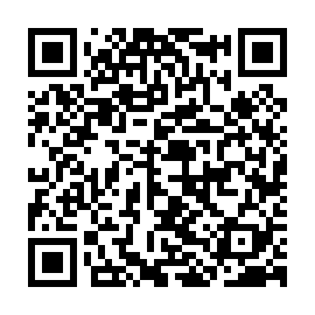 QR code for CLV029