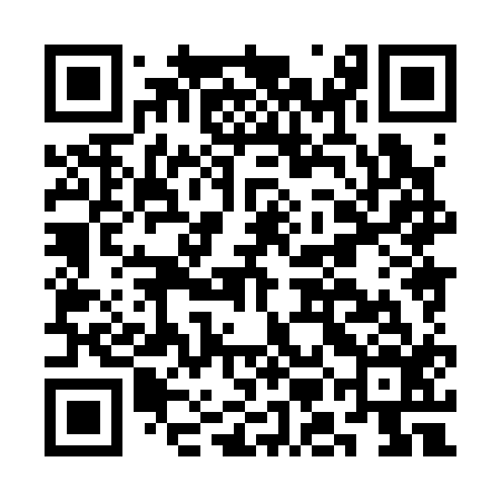 QR code for CMH316