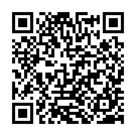 QR code for CMN384