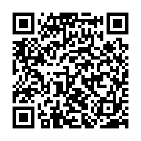 QR code for CMS333
