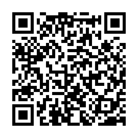 QR code for CMU919