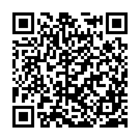 QR code for CNY386