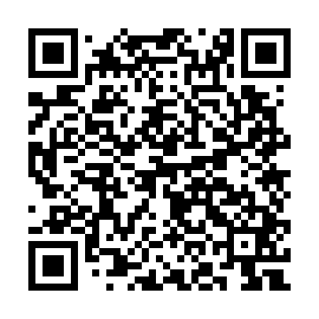 QR code for COO741