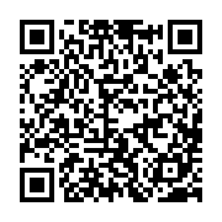 QR code for COP385