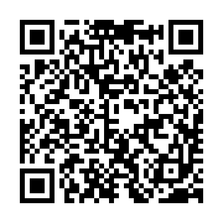 QR code for COR493