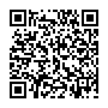 QR code for CQA386
