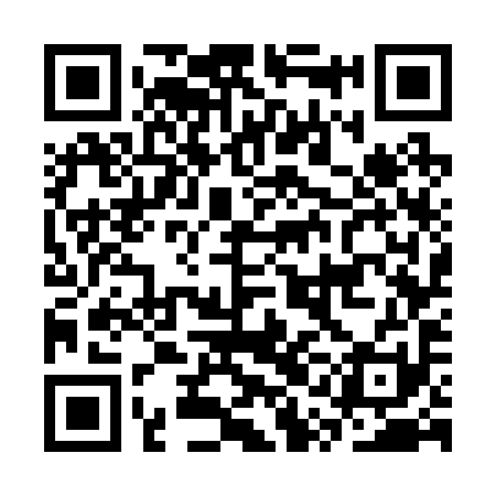 QR code for CQG291
