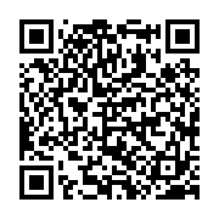 QR code for CQH233