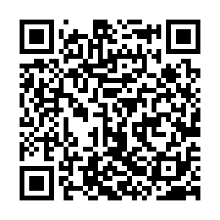 QR code for CRL311