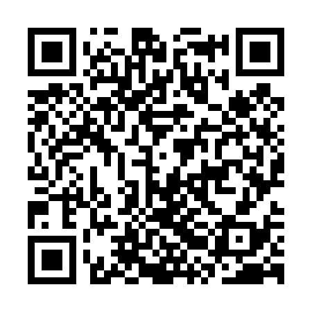 QR code for CRO438