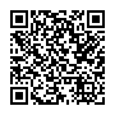 QR code for CRT381