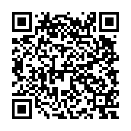 QR code for CRT411